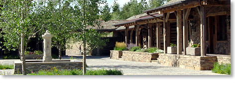 Property Name